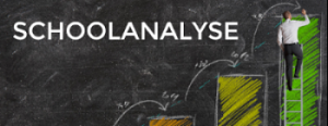 schoolanalyse logo